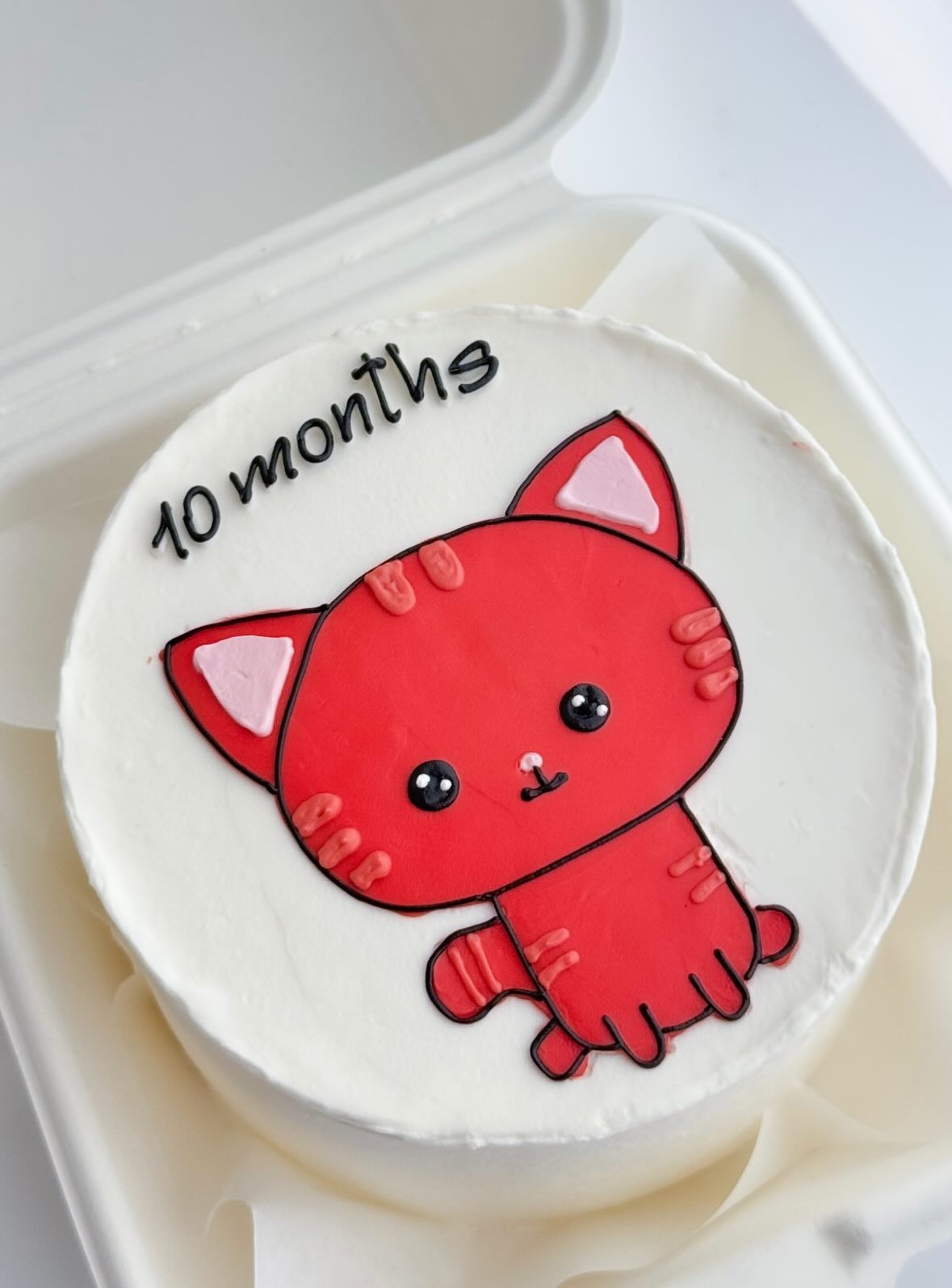 Bento tort Baby 10 months