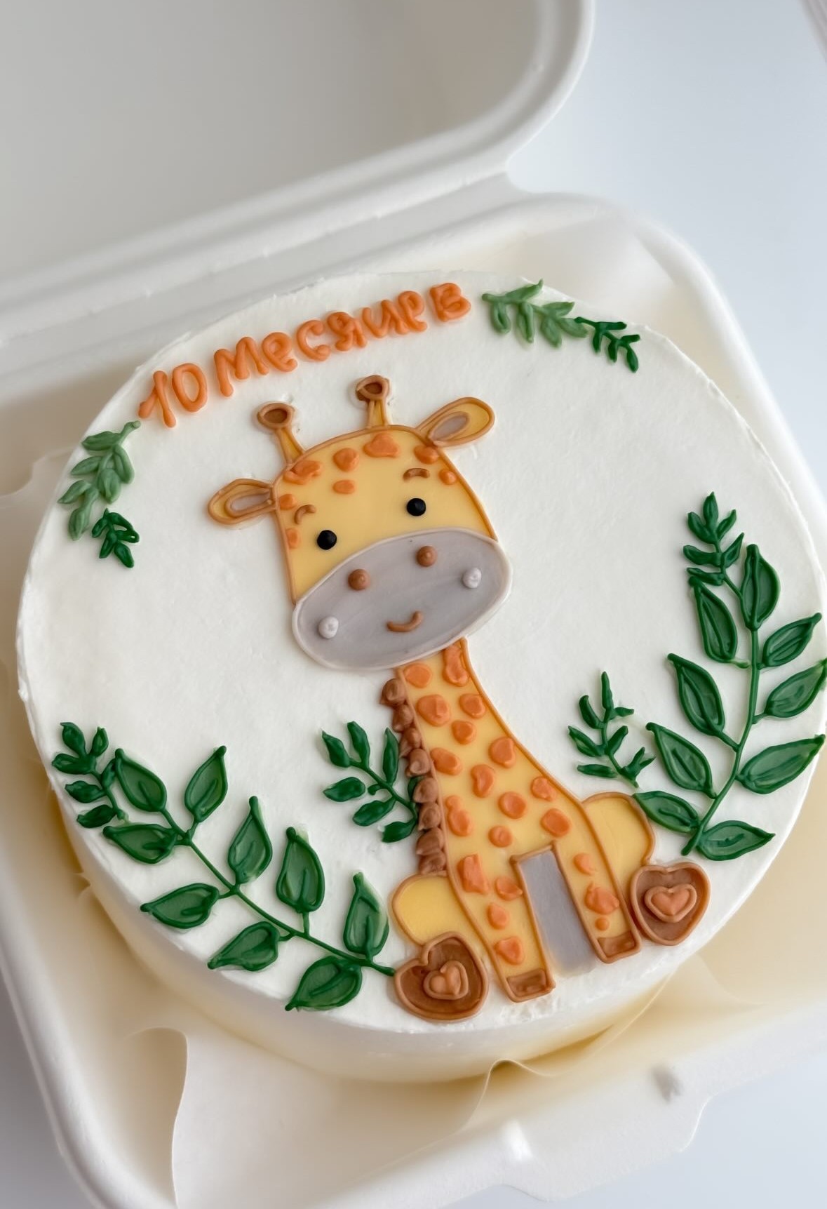 Bento tort Baby 10 months