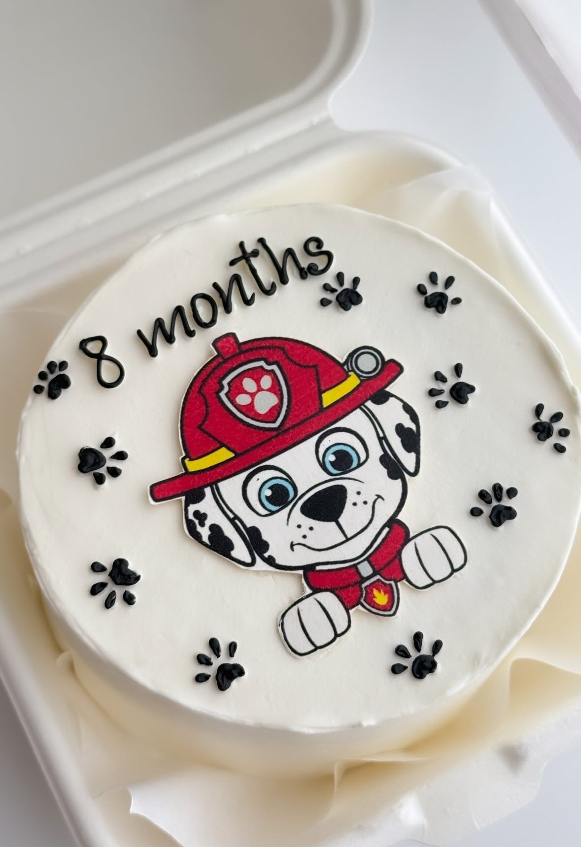 Bento tort Baby 8 months