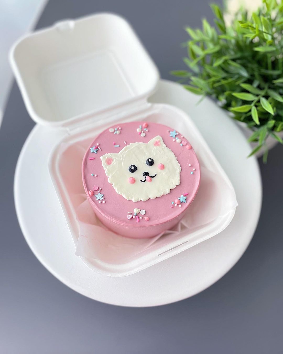 Bento tort Cat