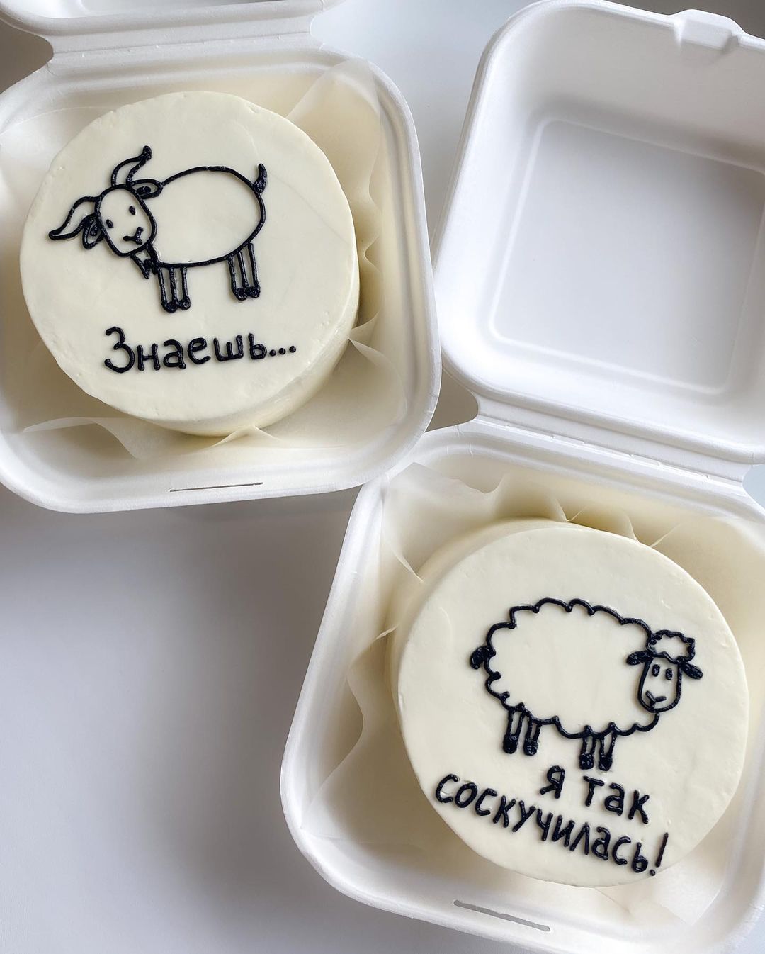 Bento tort Goat - Thumbnail 2