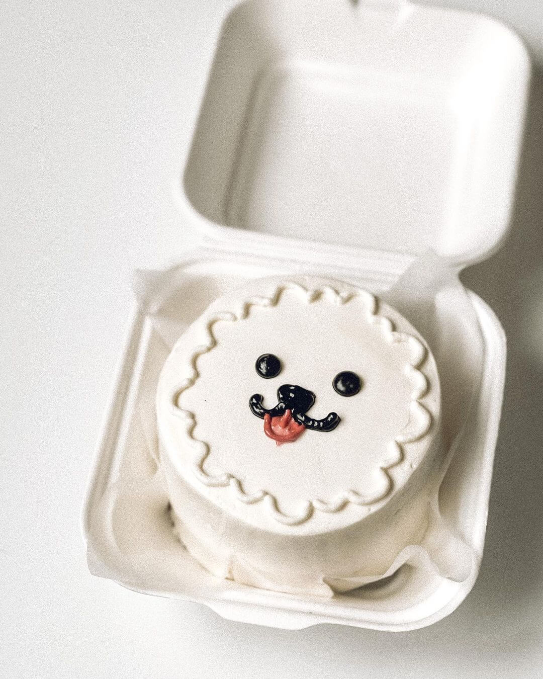 Bento tort White dog